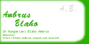 ambrus blaho business card
